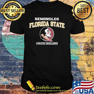 Seminoles florida state athletic excellence shirt