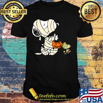 Snoopy and woodstock halloween pumpkin shirt