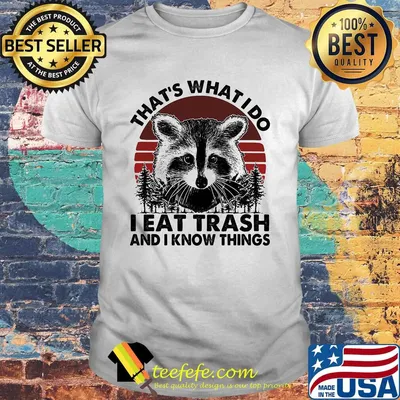That's What I Do I Eat Trash And I Know Things Sunset Bear Shirt