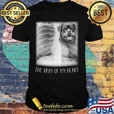 The Xray Of My Heart Dog Shirt