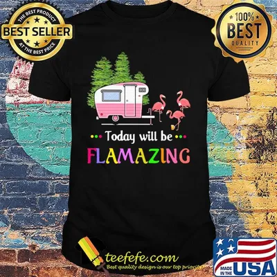 Today Will Be Flamazing Camping Flamingo Shirt