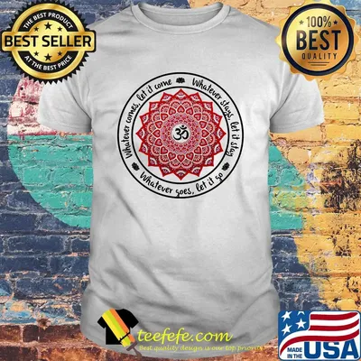 Whatever comes let it come Whatever stays let it stay Whatever goes let it go shirt