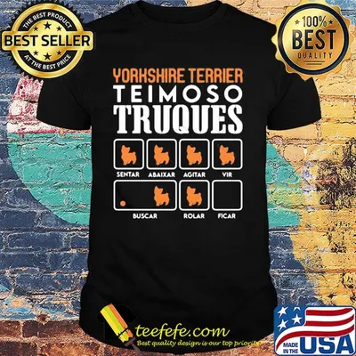 Yorkshire terrier teimoso truques sentar abaixar agitar vir buscar rolar ficar shirt