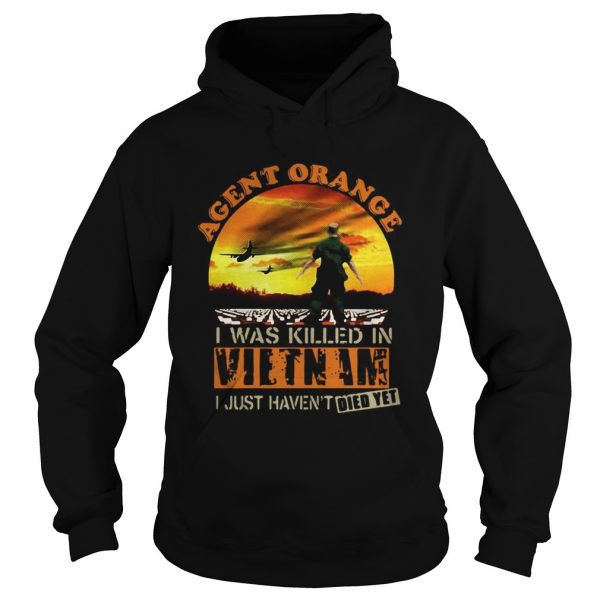 Agent-Orange-I-Was-Killed-In-Vietnam-I-Just-Havent-Died-Yet-Hoodie-600x600-1.jpg