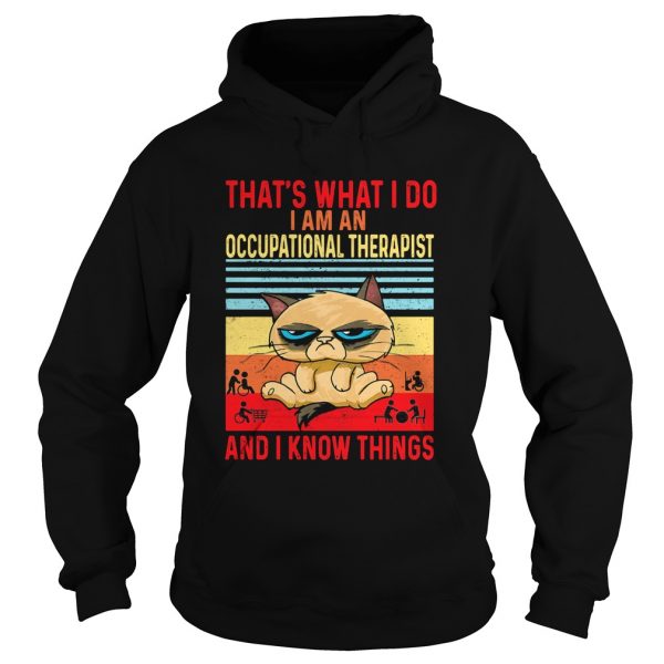 Thats-what-i-do-i-am-an-occupational-therapist-and-i-know-things-vintage-retro-Hoodie-600x600-1.jpg