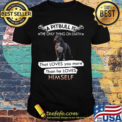 A pitbull is the only thing on earth that loves you more than he loves himself shirt