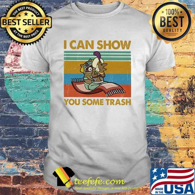 Aladdin raccoon i can show you some trash vintage retro shirt