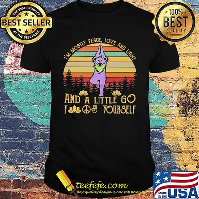 Bear Grateful Dead I'm mostly love and light and a little go fuck yourself vintage retro shirt