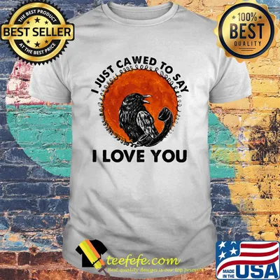 Bird i just called to say i love you sunset shirt
