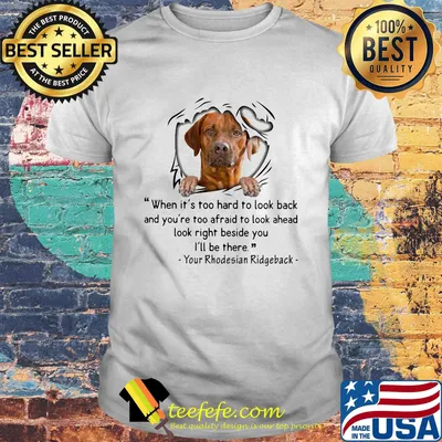 Boxer when it's too hard to look back and you're too afraid to look ahead look right beside you i'll be there your rhodesian ridgeback shirt