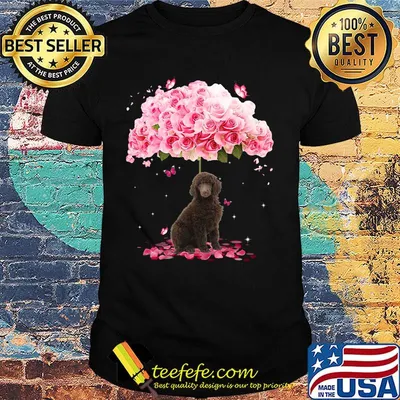 Brown dog standing under the big rose shirt