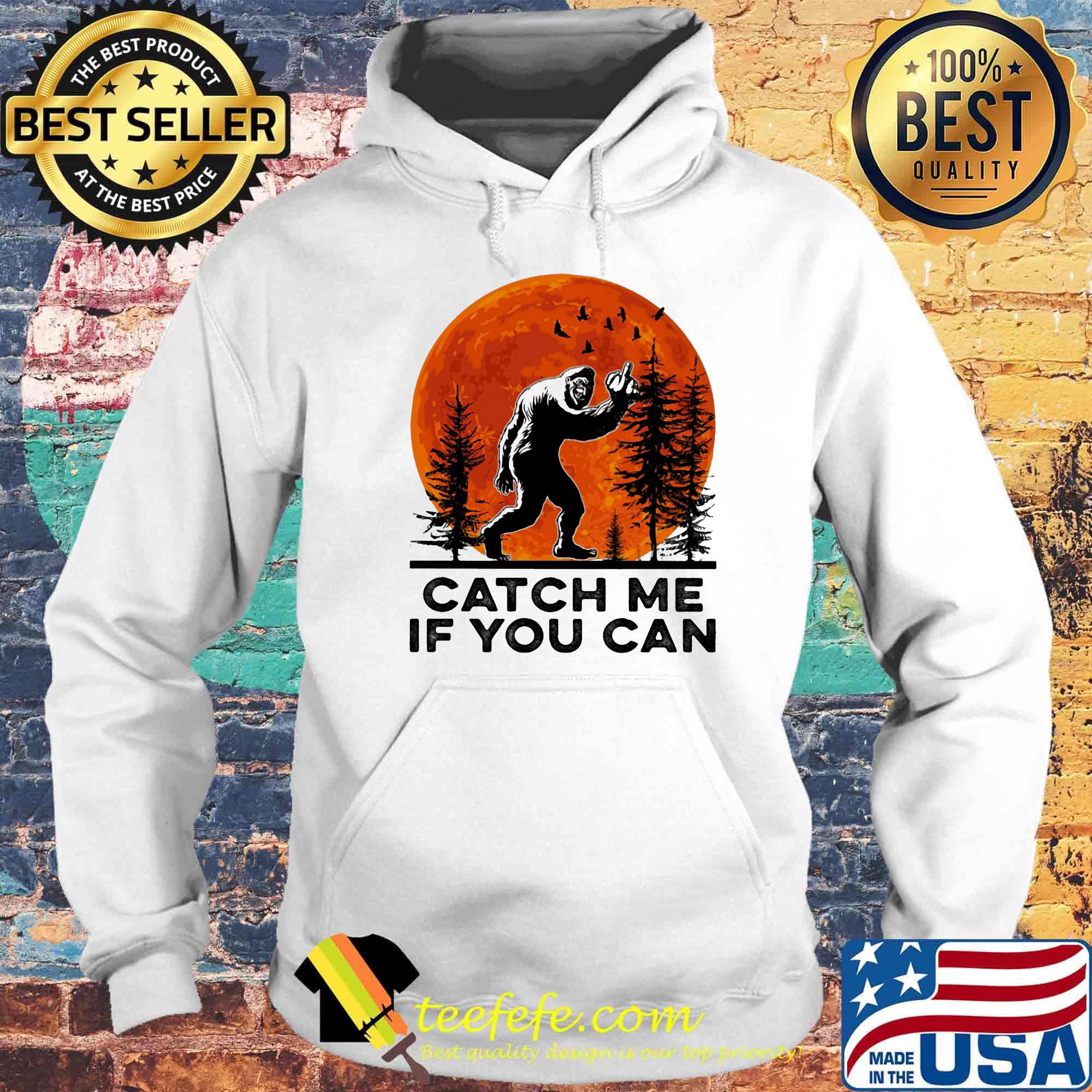 Catch me if you can apes sunset s Hoodie Catch me if you can apes sunset s Hoodie