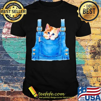 Cute cat in pocket shirt