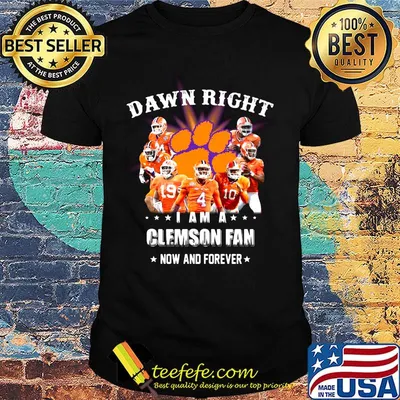 Damn right i am a clemson fan now and forever stars shirt
