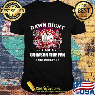 Damn right i am a crimson tide fan now and forever stars shirt