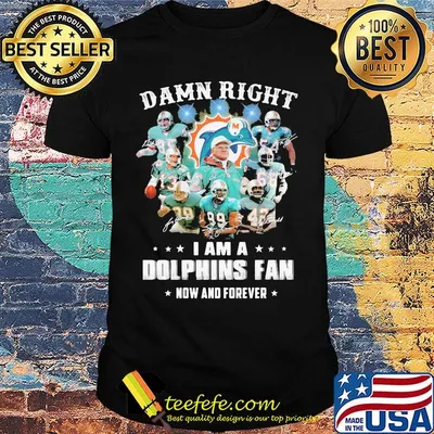 Damn right i am a dophins fan now and forever stars shirt