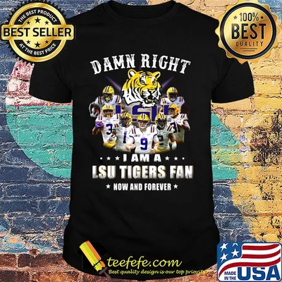 Damn right i am a lsu tigers fan now and forever stars shirt