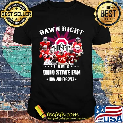 Damn right i am a ohio state buckeyes logo fan now and forever stars shirt