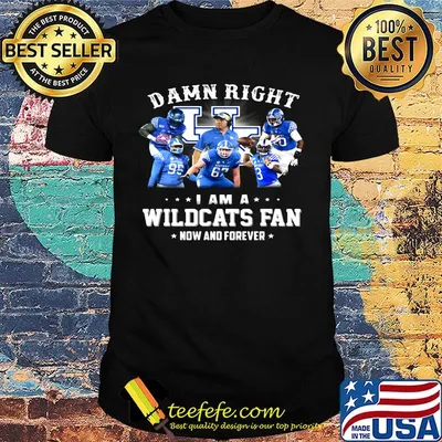 Damn right i am a wildcats fan now and forever stars shirt