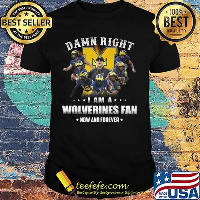 Damn right i am a wolverines fan now and forever stars shirt