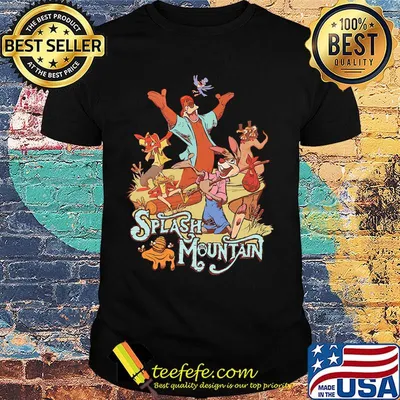 Disney adult splash mountain shirt