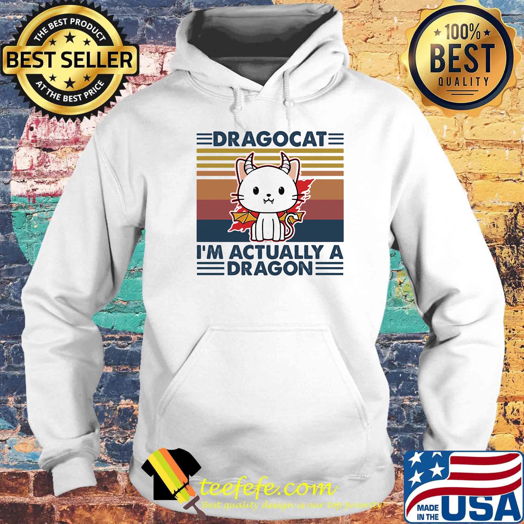 Dragocat I'm actually a dragon vintage retro s Hoodie Dragocat I'm actually a dragon vintage retro s Hoodie