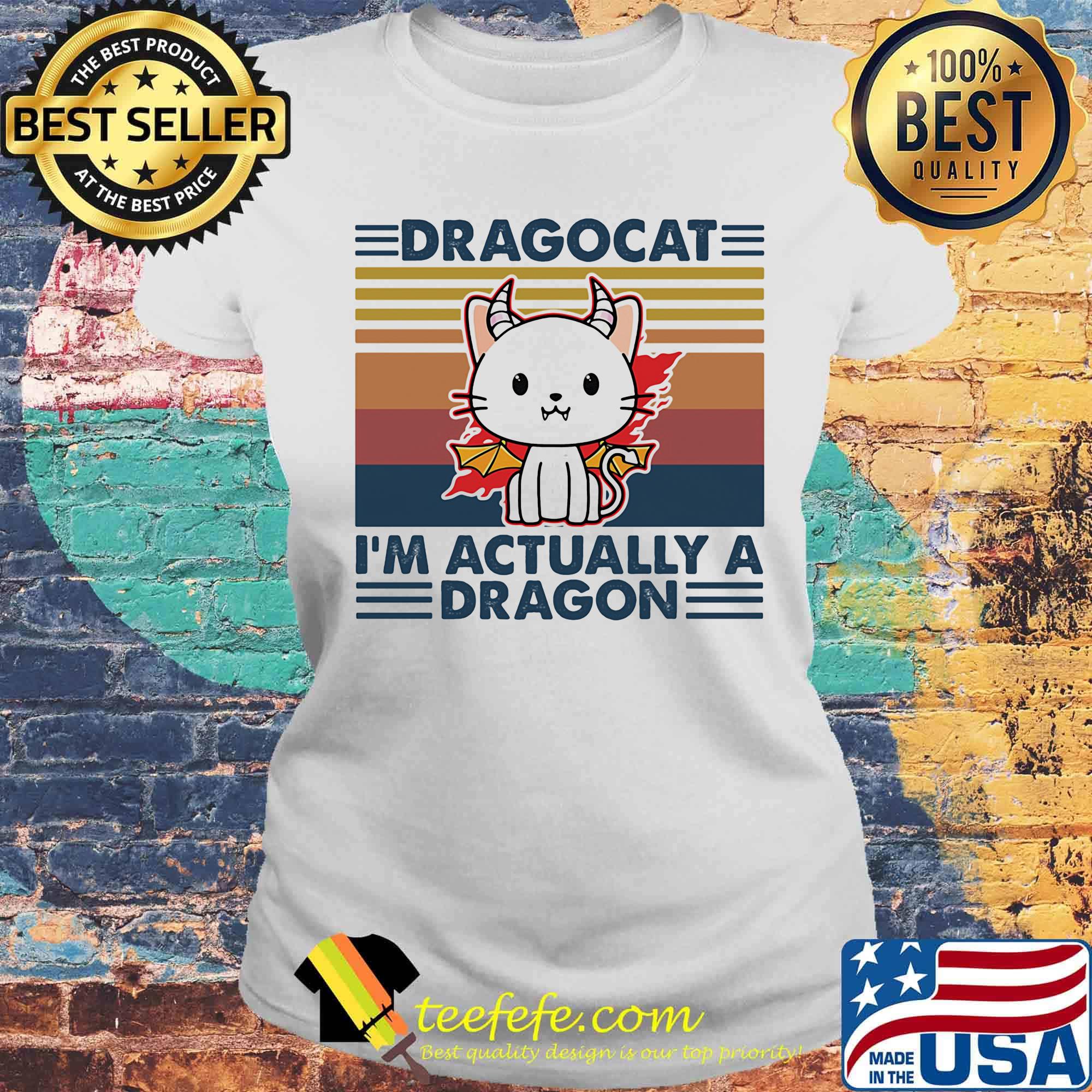 Dragocat I'm actually a dragon vintage retro s Laides tee Dragocat I'm actually a dragon vintage retro s Laides tee
