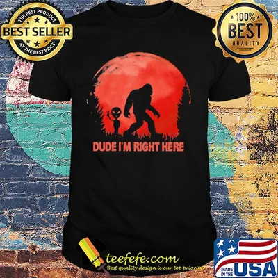 Dube I'm right here Bigfoot sunset shirt