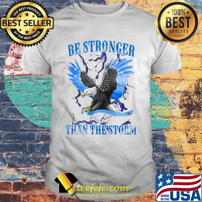Eagles be stronger than the storm shirt