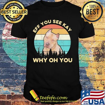 Eff You See Kay Why Oh You Dog Vintage Retro Shirt