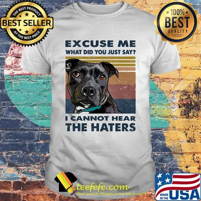 Excuse me what did you just say i cannot hear the haters vintage retro shirt