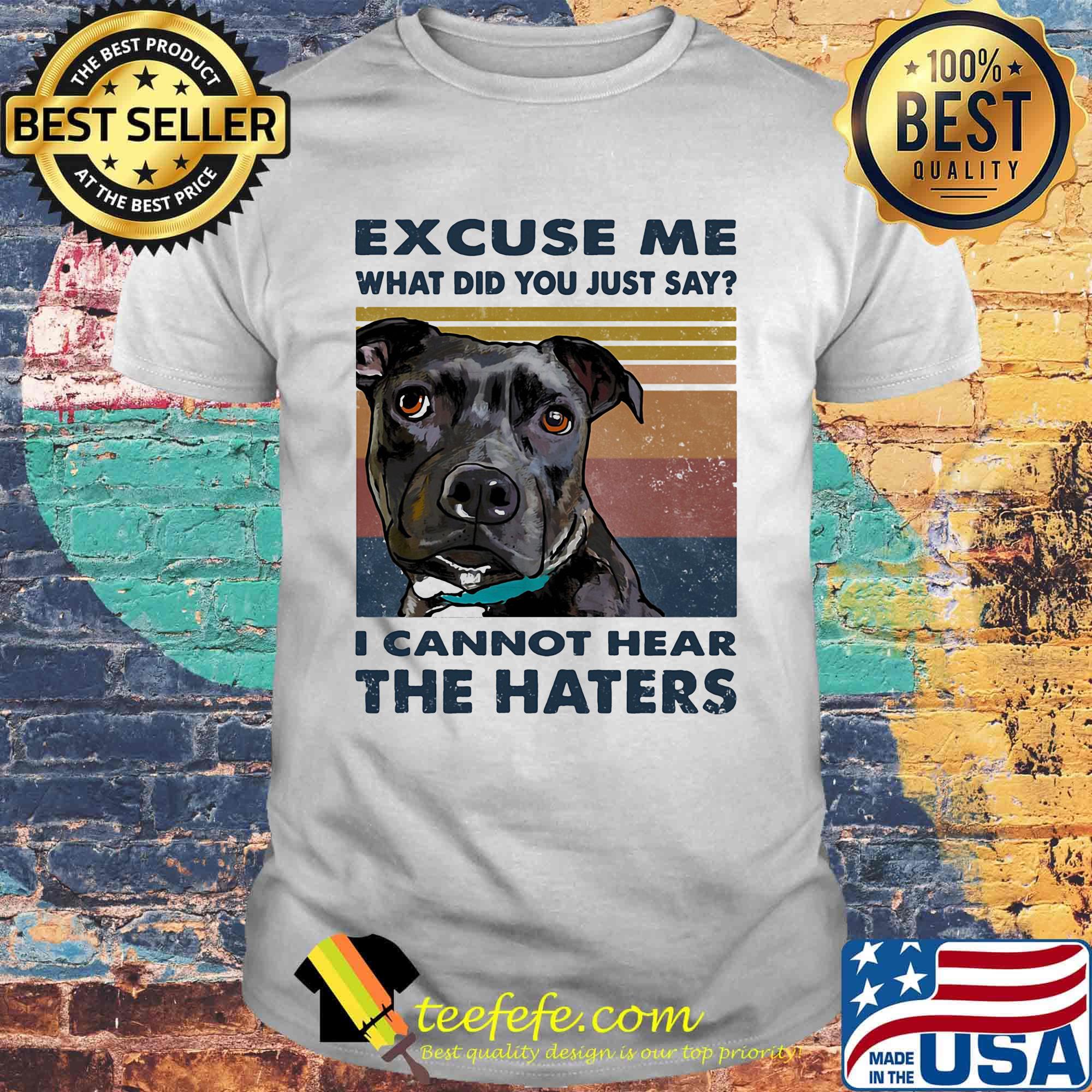 Excuse me what did you just say i cannot hear the haters vintage retro shirt