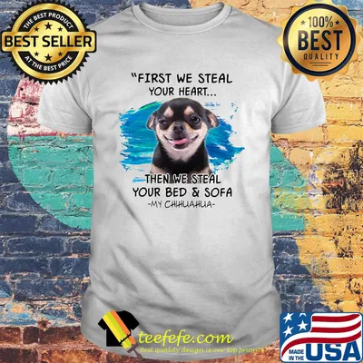 First we steal your heart then we steal your bed and sofa my chihuahua shirt