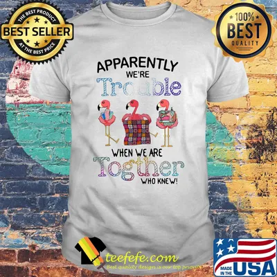 Flamingos apparently we're trouble when we are together who knew shirt