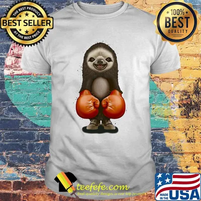 Gloves Boxing Ratel Shoes Red Shirt