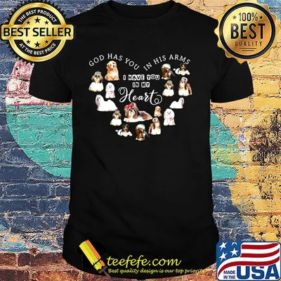 God has you in his arms I have you in my heart dogs shirt