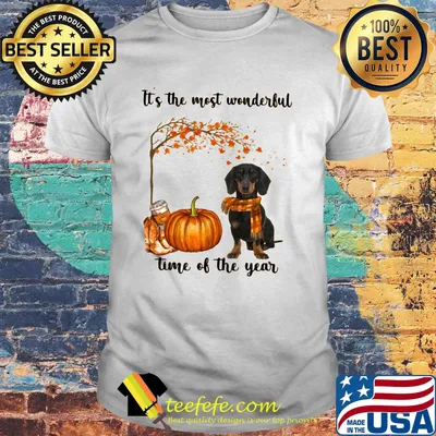 Halloween dachshund it's the most wonderful time of the year fall maple leaves shirt