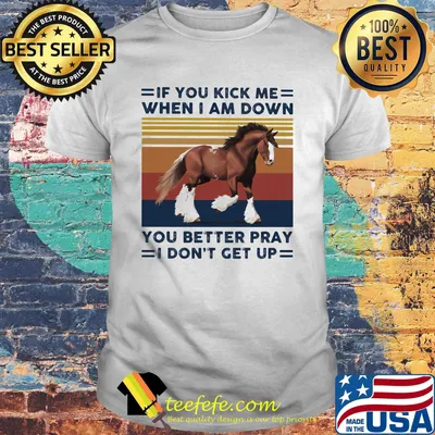 Horse If You kick me When I am down you better pray I don't get up Vintage retro shirt