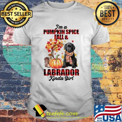 I am pumpkin spice fall and labrador kinda girl shirt
