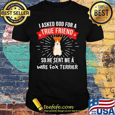 I asked god for a true friend so he sent me a wire fox terrier dog shirt