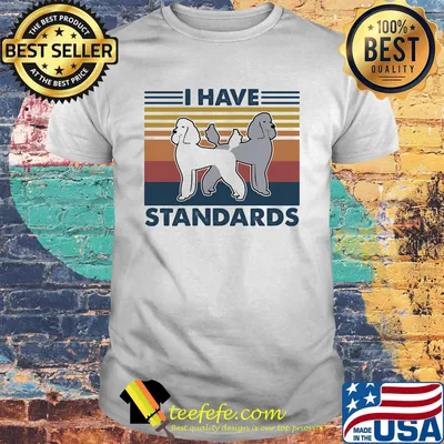 I have standards vintage retro shirt