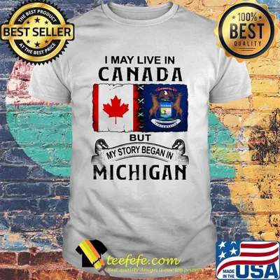 I may live in Canada but my story began in Michigan shirt