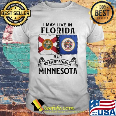I may live in florida but my story began in minnesota shirt