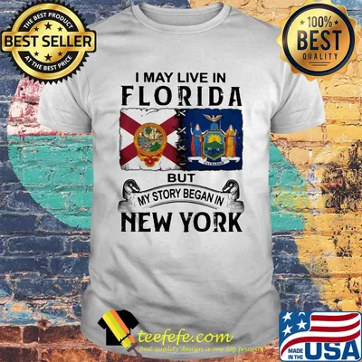I may live in florida but my story began in new york shirt