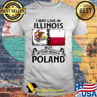 I may live in ILLINOIS but my story began in POLAND shirt