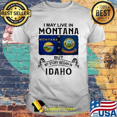 I may live in montana but my story began in idaho shirt