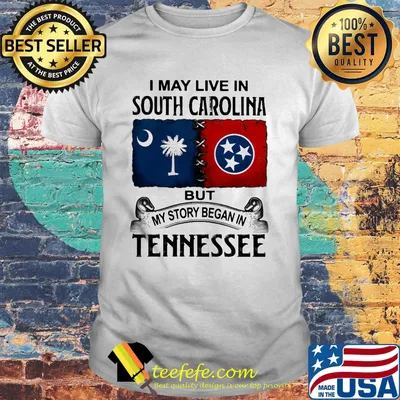 I may live in south carolina but my story began in tennessee shirt