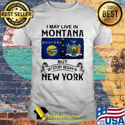 I may live montana but my story began in new york shirt