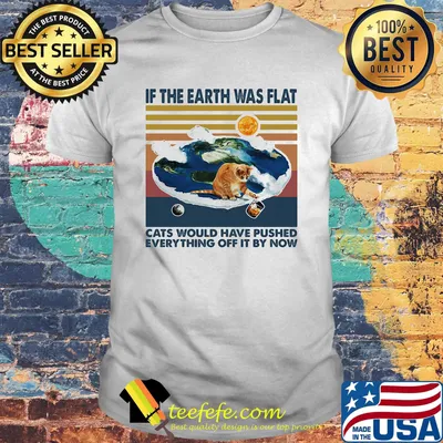If the earth was flat cats would have pushed everything off it by now vintage retro shirt