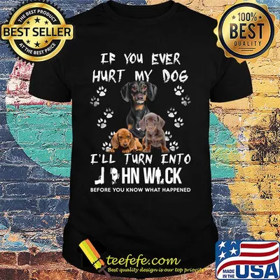 If you ever hurt my dog I'll turn into John Wick footprint shirt